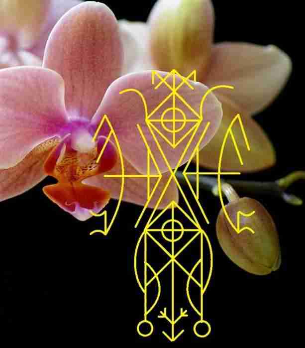 Колыбель Орхидеи. Дендрарий (цветник) Автор Vlas Колыбель Орхидеи — это, пожалуй, венец всей подборки….