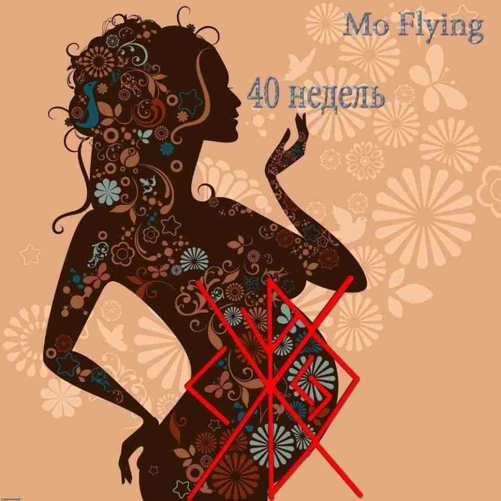 «40 недель» Автор: Mo Flying РУНЫ В СТАВЕ: Перт, Беркано, Феху, Ингваз, Йера, Альгиз,…