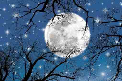 Роковое Полнолуние Холодной Луны 8 декабря: что опасно делать и что сделать обязательно в…