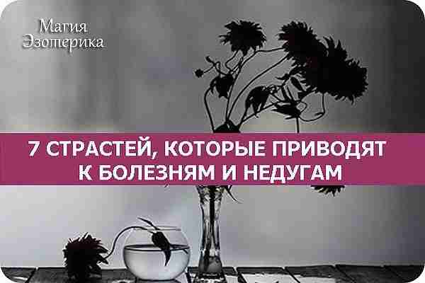 7 СТРАСТЕЙ, КОТОРЫЕ ПРИВОДЯТ К БОЛЕЗНЯМ И НЕДУГАМ Причины некоторых опасных болезней лежат гораздо…