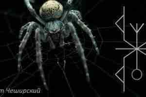 Став «SPIDER» ( ЗАЩИТА С ВОЗВРАТОМ) АВТОР КОТ ЧЕШИРСКИЙ Альгиз -улавливает негативное воздействие ,…