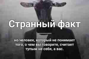 #магия #колдовство #эзотерика #ставы #руны #Руны_магия_юмор_цитаты_высказывания