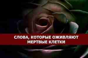 *СЛОВА, КОТОРЫЕ ОЖИВЛЯЮТ МЕРТВЫЕ КЛЕТКИ* Ученым удалось доказать, что слова способны оживлять мертвые клетки!…