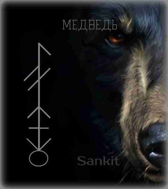 Дух-помощник Медведь Автор Санкит Медведь-символ силы, природной мощи и защиты. Медведь позволяет мужественно предстать…