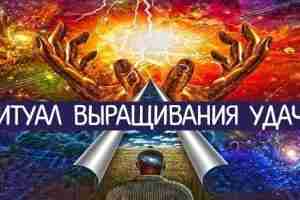 Ритуал выращивания удачи Этот ритуал можете использовать, если ваша мечта должна осуществиться в отдаленном…