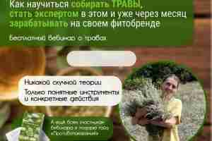 ТО, ЧТО ВАМ НУЖНО ЗНАТЬ О ТРАВАХ Многие до сих пор думают, что собирать…