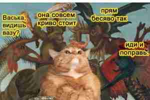 #руны #сигилы #ставы #эзотерика #руническая_магия #Руны_магия_юмор_цитаты_высказывания