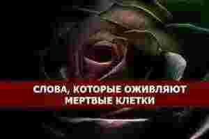 *СЛОВА, КОТОРЫЕ ОЖИВЛЯЮТ МЕРТВЫЕ КЛЕТКИ* Ученым удалось доказать, что слова способны оживлять мертвые клетки!…