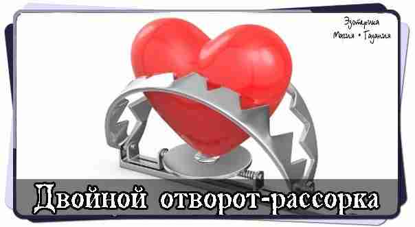 Двойной отворот-рассорка Покупаете бычье сердце. Режете его атаме пополам, то есть надрезаете, не рассекаете…