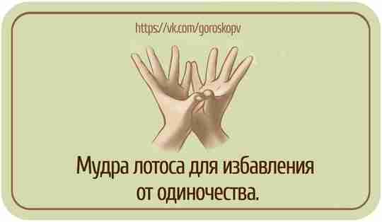 Мудра лотоса от одиночества Лотос — прекрасный и самый необычный цветок. Он появляется в…