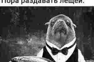 #Руны_магия_юмор #руны #сигилы #ставы #маги #руническая_магия