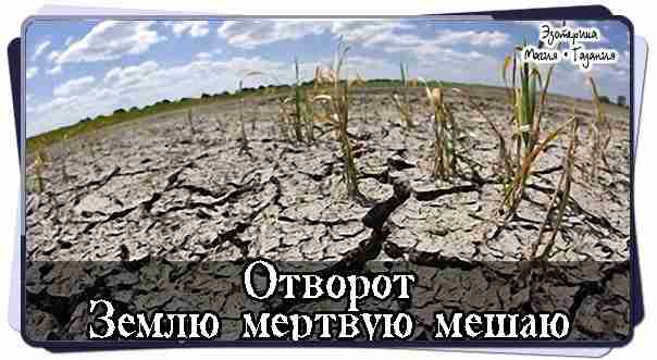 Отворот «Землю мертвую мешаю» Этот способ развода пары навсегда подходит как для возвращения загулявшего…