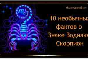 Каждый знак Зодиака по-своему уникален. Скорпион имеет не только частично угрожающее название, но и…