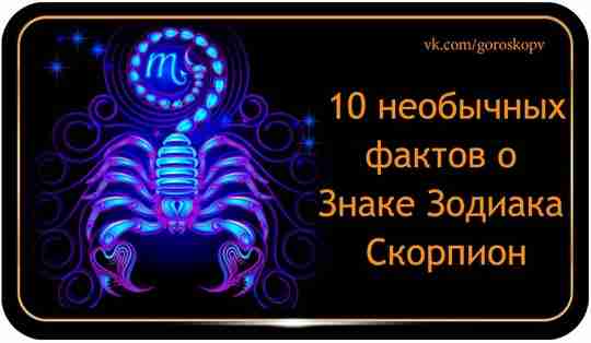 Каждый знак Зодиака по-своему уникален. Скорпион имеет не только частично угрожающее название, но и…