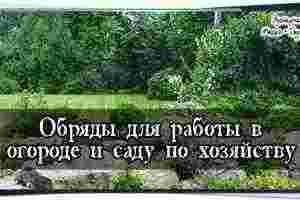 Обряды для работы в огороде и саду по хозяйству ЗАГОВОРЫ НА ПОСАДКУ РАССАДЫ •…