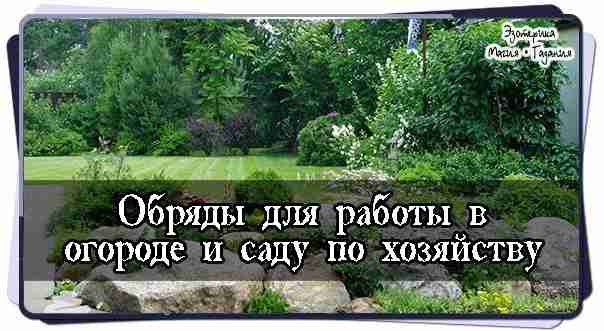 Обряды для работы в огороде и саду по хозяйству ЗАГОВОРЫ НА ПОСАДКУ РАССАДЫ •…