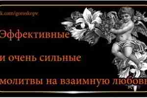 Настоящую, искреннюю, взаимную любовь, несомненно, мечтает и надеется встретить каждая девушка, но иногда реальность…