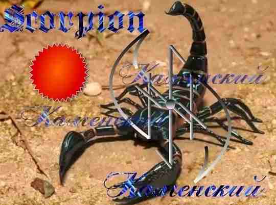 Scorpion. Автор Каменский. Чистка, довольно таки жесткая, точечная. Точка, человек которого чистим. Эйваз находит…