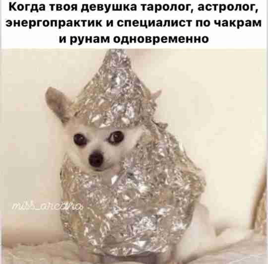 Убийственное комбо😸