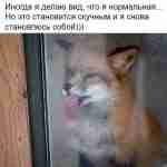 БУДЬ СОБОЙ! ХОТЯ БЫ СЕГОДНЯ 😻😂😂