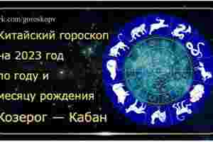 Гороскоп Козерог — Кабан (Свинья) 2023 год Годы рождения: 1959, 1971, 1983, 1995, 2007,…