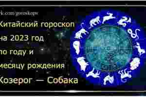 Гороскоп Козерог — Собака 2023 год Годы рождения: 1958, 1970, 1982, 1994, 2006, 2018,…
