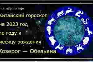 Гороскоп Козерог — Обезьяна 2023 год Годы рождения: 1956, 1968, 1980, 1992, 2004, 2016,…
