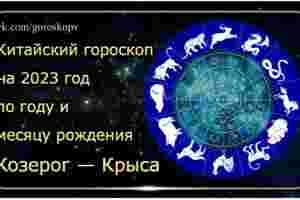Гороскоп Козерог — Крыса 2023 год Годы рождения: 1948, 1960, 1972, 1984, 1996, 2008,…