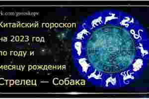 Гороскоп Стрелец — Собака 2023 год Годы рождения: 1958, 1970, 1982, 1994, 2006, 2018,…