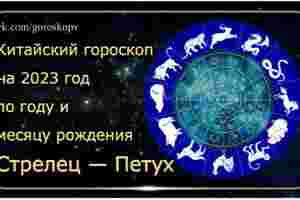 Гороскоп Стрелец — Петух 2023 год Годы рождения: 1957, 1969, 1981, 1993, 2005, 2017,…