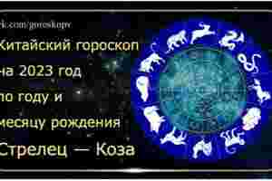 Гороскоп Стрелец — Коза (Овца) 2023 год Годы рождения: 1955, 1967, 1979, 1991, 2003,…