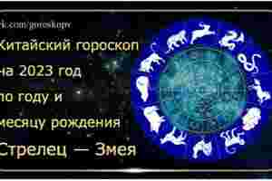Гороскоп Стрелец — Змея 2023 год Годы рождения: 1953, 1965, 1977, 1989, 2001, 2013,…