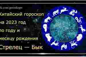 Гороскоп Стрелец — Бык 2023 год Годы рождения: 1949, 1961, 1973, 1985, 1997, 2009,…