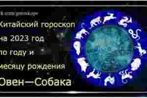 Гороскоп Овен — Собака 2023 год Годы рождения: 1958, 1970, 1982, 1994, 2006, 2018….